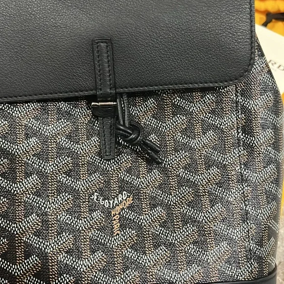 Goyard Alpin Mini backpack - Picture 8 of 17